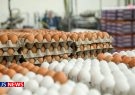عراق راه ورود تخم مرغ‌های ایرانی را می‌بندد؟