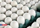 رونمایی از قیمت جدید و مصوب تخم مرغ