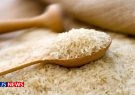 خبر مهم وزیر جهادکشاورزی درباره قیمت کالاهای اساسی/ برنج ایرانی ارزان می‌شود